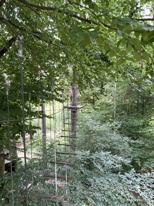 Walderlebniswelt Klopeiner See, Foto 7 von 22