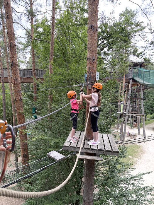Walderlebniswelt Klopeiner See, Foto 8 von 22