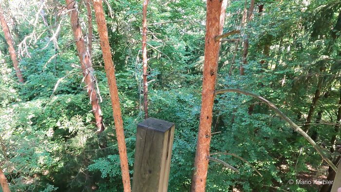 Walderlebniswelt Klopeiner See, Foto 11 von 22