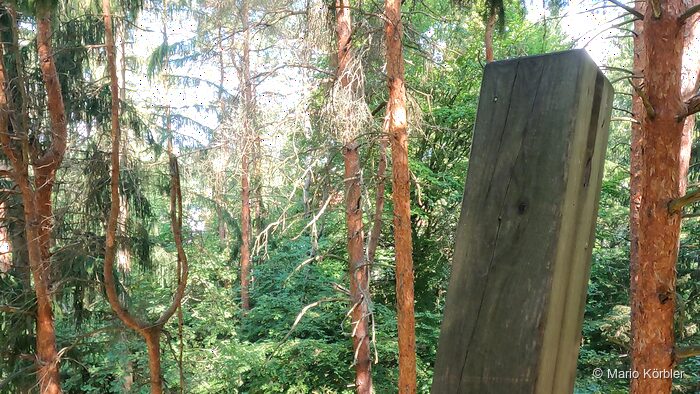 Walderlebniswelt Klopeiner See, Foto 12 von 22
