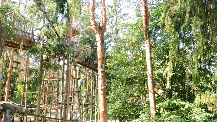 Walderlebniswelt Klopeiner See, Foto 13 von 22
