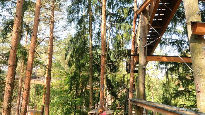 Walderlebniswelt Klopeiner See, Foto 16 von 22