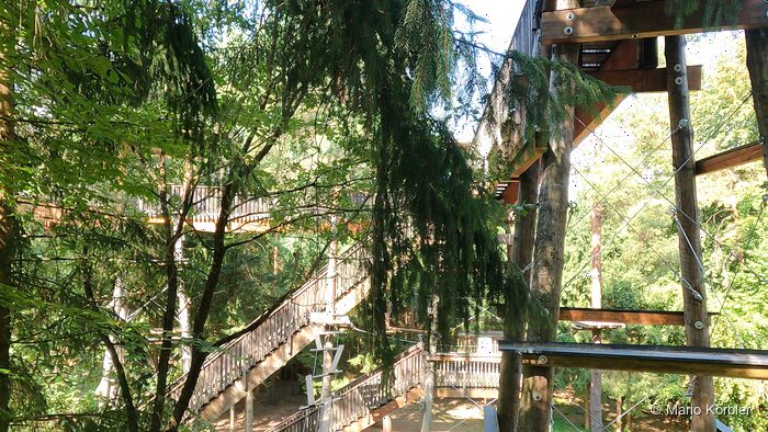 Walderlebniswelt Klopeiner See, Foto 17 von 22