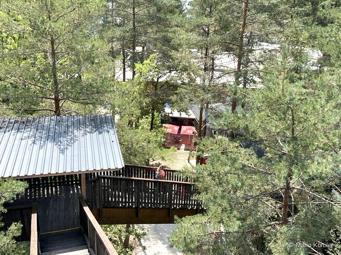 Walderlebniswelt Klopeiner See, Foto 21 von 22