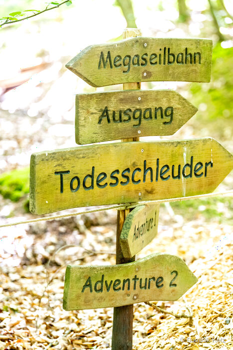 Waldkletterpark Bad Neuenahr-Ahrweiler, fotografie 2 z 5