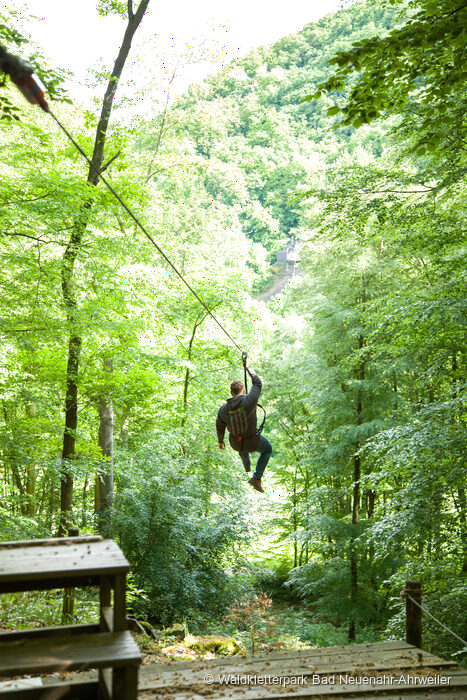 Waldkletterpark Bad Neuenahr-Ahrweiler, fotografie 4 z 5