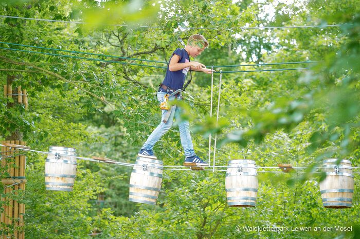 Waldkletterpark Leiwen, fotografie 2 z 5