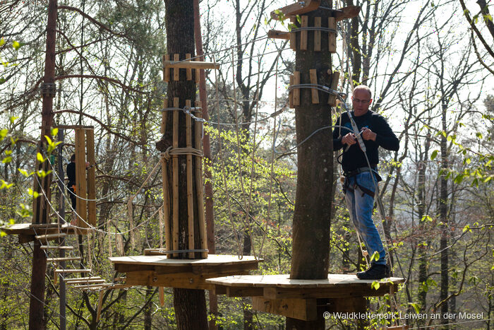 Waldkletterpark Leiwen, fotografie 3 z 5