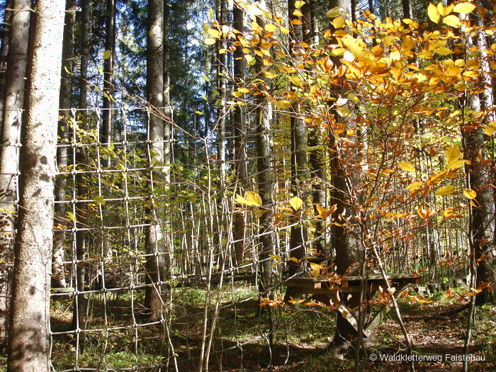 Waldkletterweg Faistenau, photo 5 of 5